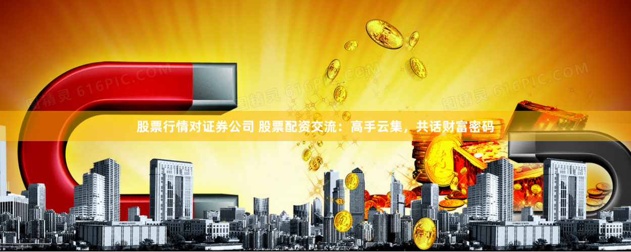 股票行情对证券公司 股票配资交流：高手云集，共话财富密码