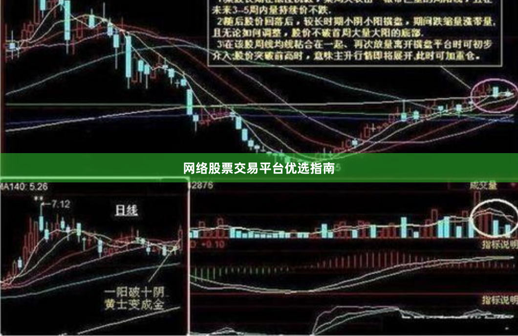 网络股票交易平台优选指南